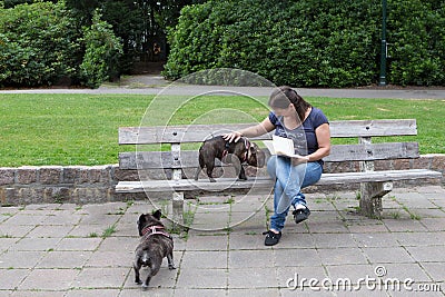 Woman with dogs on a bench Stock Photo