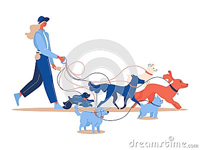 Woman dogsitter with various dogs walking. Isolated on white characters good for pet service and care Stock Photo