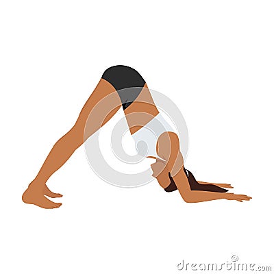 Woman doing Dolphin pose ardha pincha mayurasana exercise Cartoon Illustration