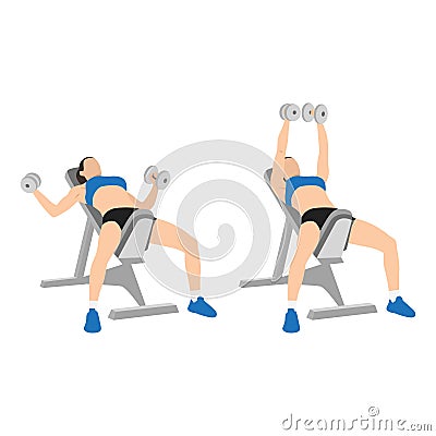 Woman doing Incline bench dumbbell flyes exercise. Vector Illustration