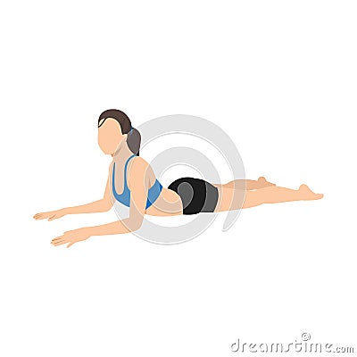 Woman doing salamba bhujangasana sphinx pose exercise. Vector Illustration