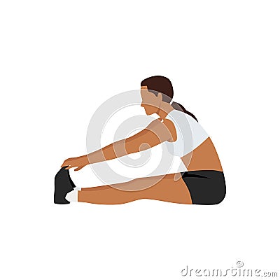 Woman doing Seated forward bend stretch exercise. Vector Illustration