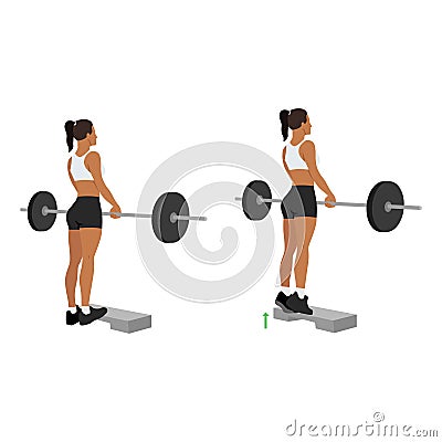 Woman doing standing calf raises with barbell exercise Vector Illustration