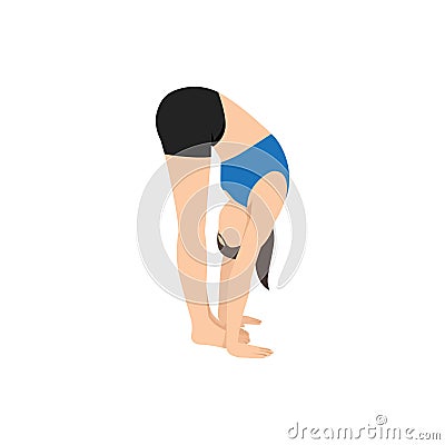 Woman doing standing forward bend pose uttanasana exercise Vector Illustration