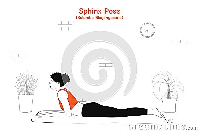 Woman doing yoga asana sphinx pose or salamba bhujangasana Vector Illustration