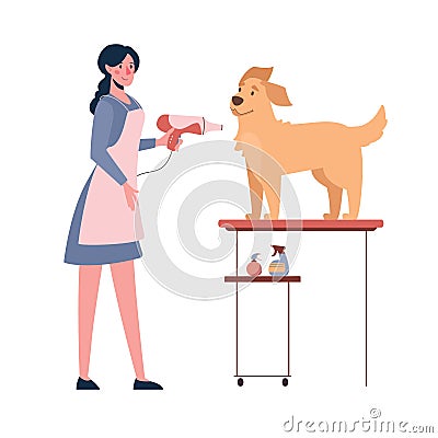 The woman dries the dog with a hair dryer. Dog grooming. Vector illustration isolated on white background. Cartoon style Vector Illustration