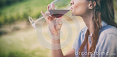 Woman drinking red wine Stock Photo