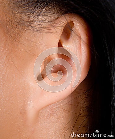 Woman ears Stock Photo