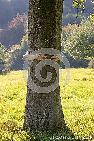 Woman embracing a tree Stock Photo