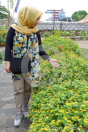 A woman enjoy Tagetes erecta flower garden. Editorial Stock Photo