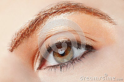 Woman eye beauty with golden glossy make up Stock Photo