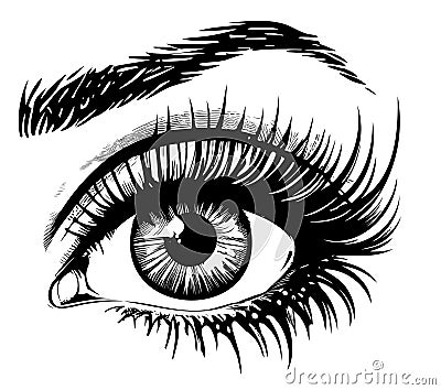 Woman eye isolated on white background hand drawn sketch Vector illustration Stock Photo