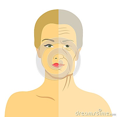 Woman face before and after aging. Young woman and old woman with wrinkles. The same person in her youth and old age. Vector Illustration