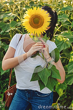 Woman face covered with sunflower. Stock Photo