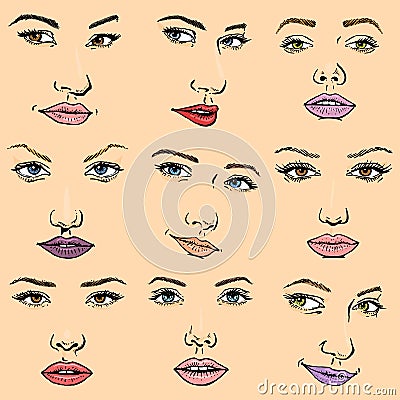 Woman face vector female facial portrait of beautiful girl fashion faced care and beautiful women facing makeup set Vector Illustration