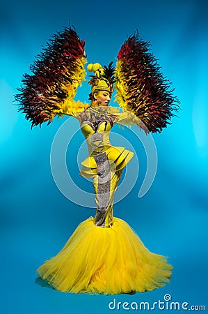 Woman in fantasy costume with feather sleeves Stock Photo