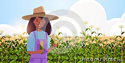 Woman farmer holding corn cob african american countrywoman in overalls standing on corn field organic agriculture Vector Illustration