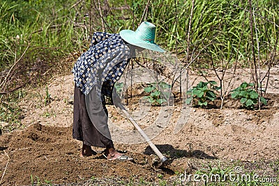 Woman farmer holding spade at field, Thailand. Editorial Stock Photo