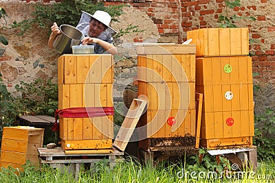 Woman feeding bees with sweet juice Stock Photo