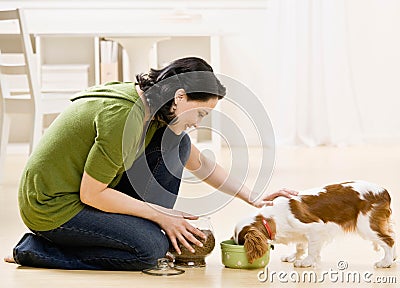 Woman feeding dog Stock Photo