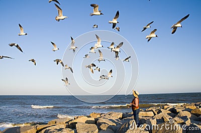 Woman feeding a gaggle of seagulls Stock Photo