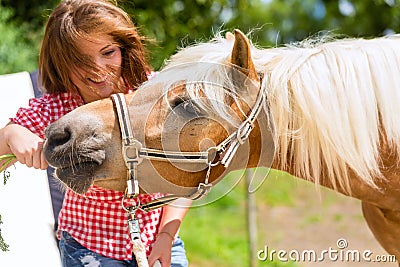 Woman feeding horse on pony farm Stock Photo