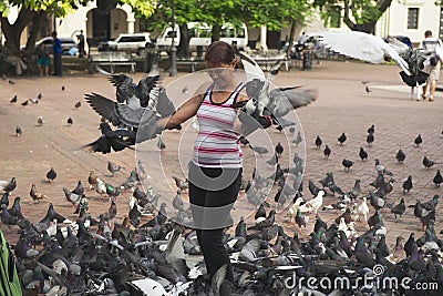 Woman feeds pigeons in Santo Domingo, Dominican Republic. Editorial Stock Photo