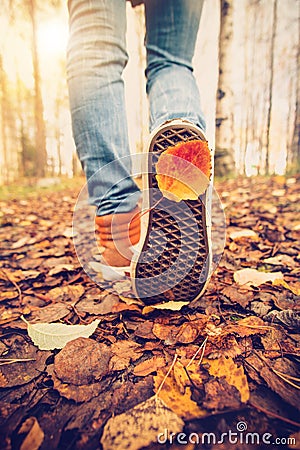 Woman Feet sneakers walking on fall leaves Outdoor Stock Photo
