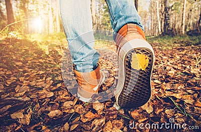 Woman Feet sneakers walking on fall leaves Outdoor Stock Photo