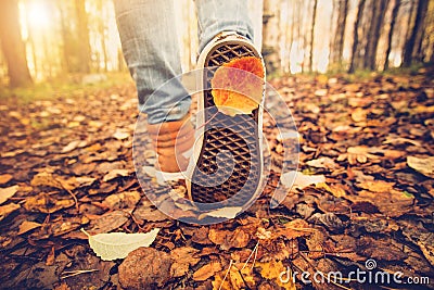 Woman Feet sneakers walking on fall leaves Outdoor Stock Photo