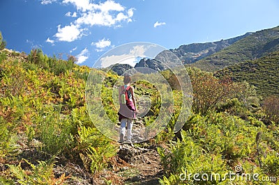 Woman in fern path Stock Photo
