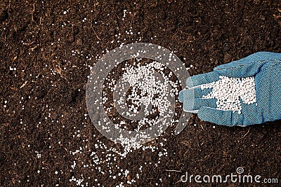 Woman fertilizing soil. Gardening season Stock Photo