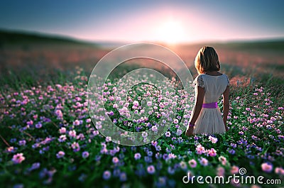 Woman in field of flowers at sunset Stock Photo