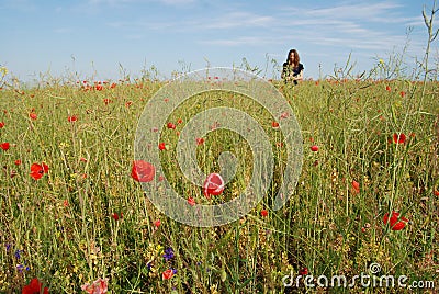 Woman in a field of poppies Stock Photo