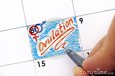 Woman fingers with pen writing reminder Ovulation in calendar. Stock Photo