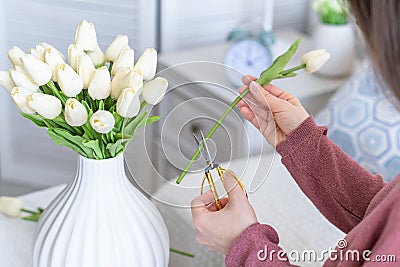 Woman florist cutting stem of tulips flowers with scissors and putting in vase on coffee table. Composing bouque. Stock Photo