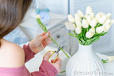 Woman florist cutting stem of tulips flowers with scissors and putting in vase on coffee table. Composing bouque. Stock Photo