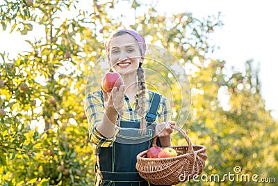 Woman on fruit orchard showing apple into the camera Stock Photo