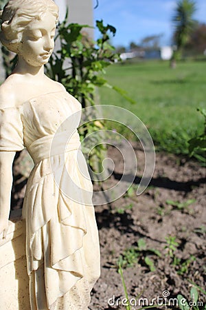 The woman in the garden Stock Photo