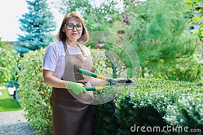 Woman gardener in apron trims decorative bushes with garden scissors Stock Photo