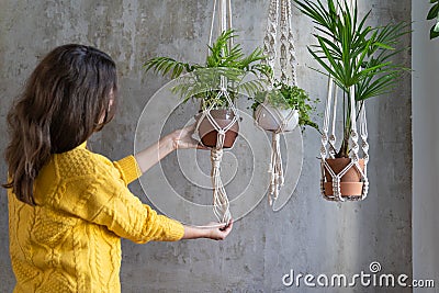 Woman gardener holding macrame plant hanger with houseplant over grey wall. Hobby, love of plants, home decoration Stock Photo