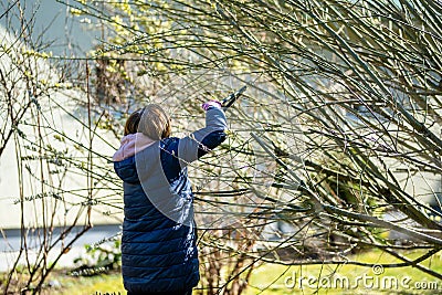 Woman gardener using pruning shears on to cut dry tree branches. Spring pruning of trees and bushes in garden Stock Photo
