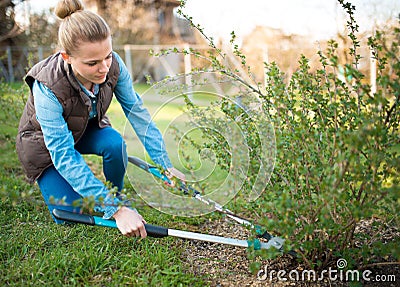 Woman gardener working in the spring garden and trimming branches Stock Photo