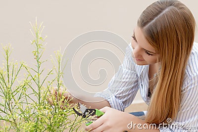 Woman gardening Stock Photo