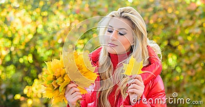 Woman gather leaves in park. Autumn is her favorite season of year. Lady gathering leaves autumn nature background. Girl Stock Photo