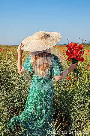 Woman gathered bouquet of poppies flowers walking in summer field. Stylish girl in straw hat admires landscape Stock Photo