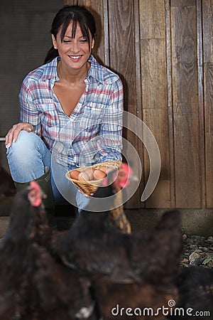 Woman gathering eggs Stock Photo