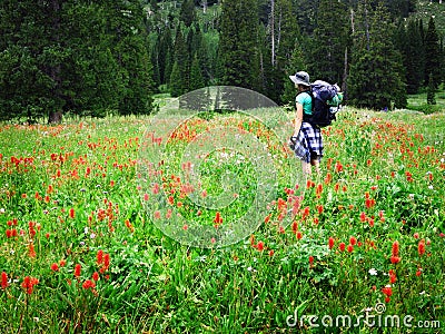 Woman Girl Backpacking with Wildflowers Taking Photograph Stock Photo