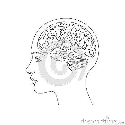 Woman, girl, brain in head concept line art vector illustration flat design. Vector Illustration
