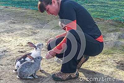 Woman gives food to rabbit. Nature love and vegan concept Stock Photo